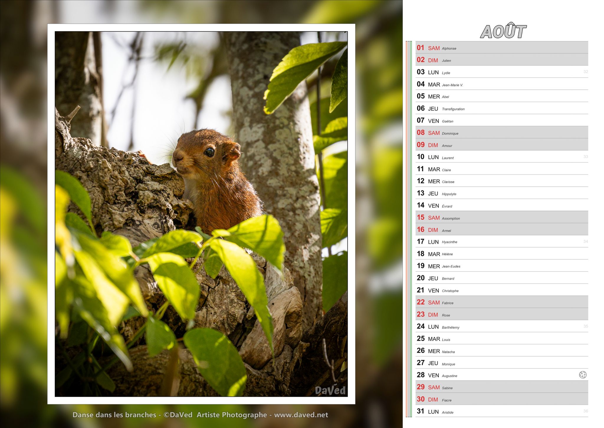 calendrier-daved-aout