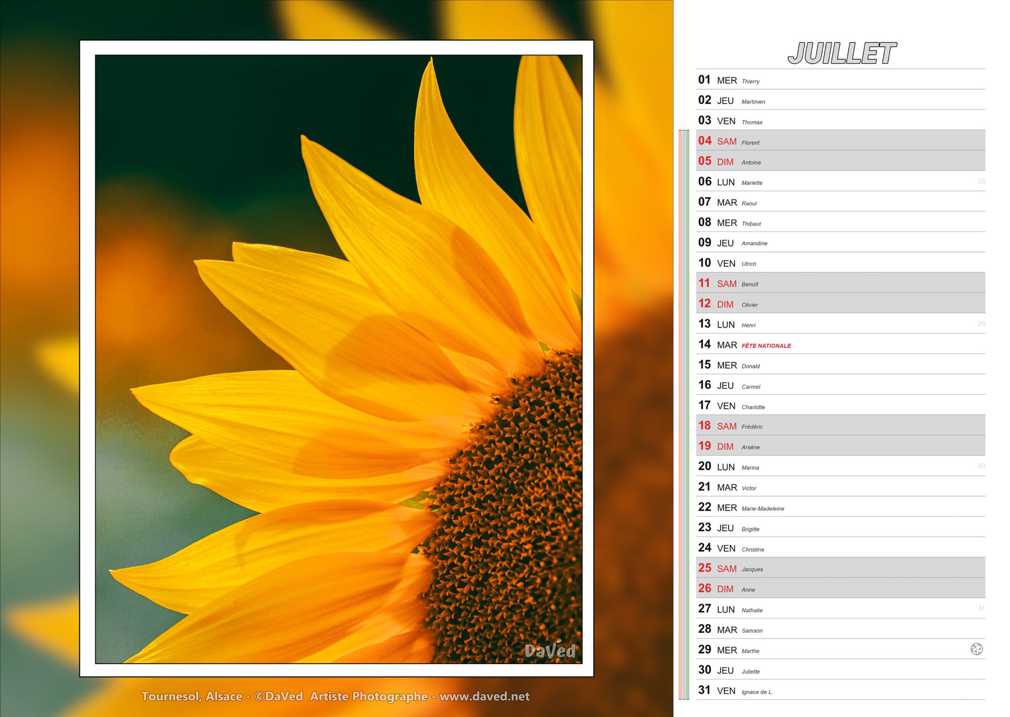 calendrier-daved-juillet