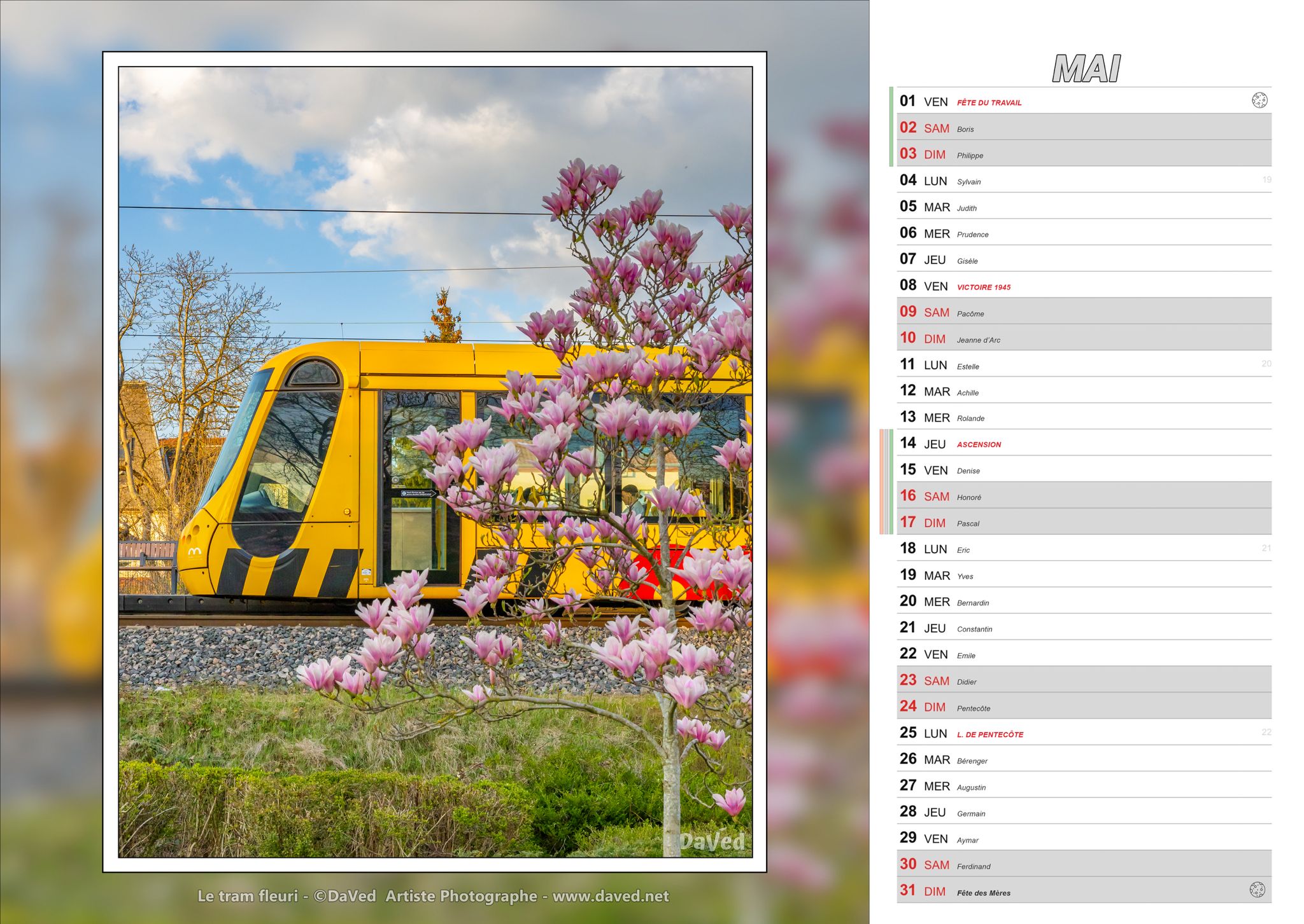 calendrier-daved-juin