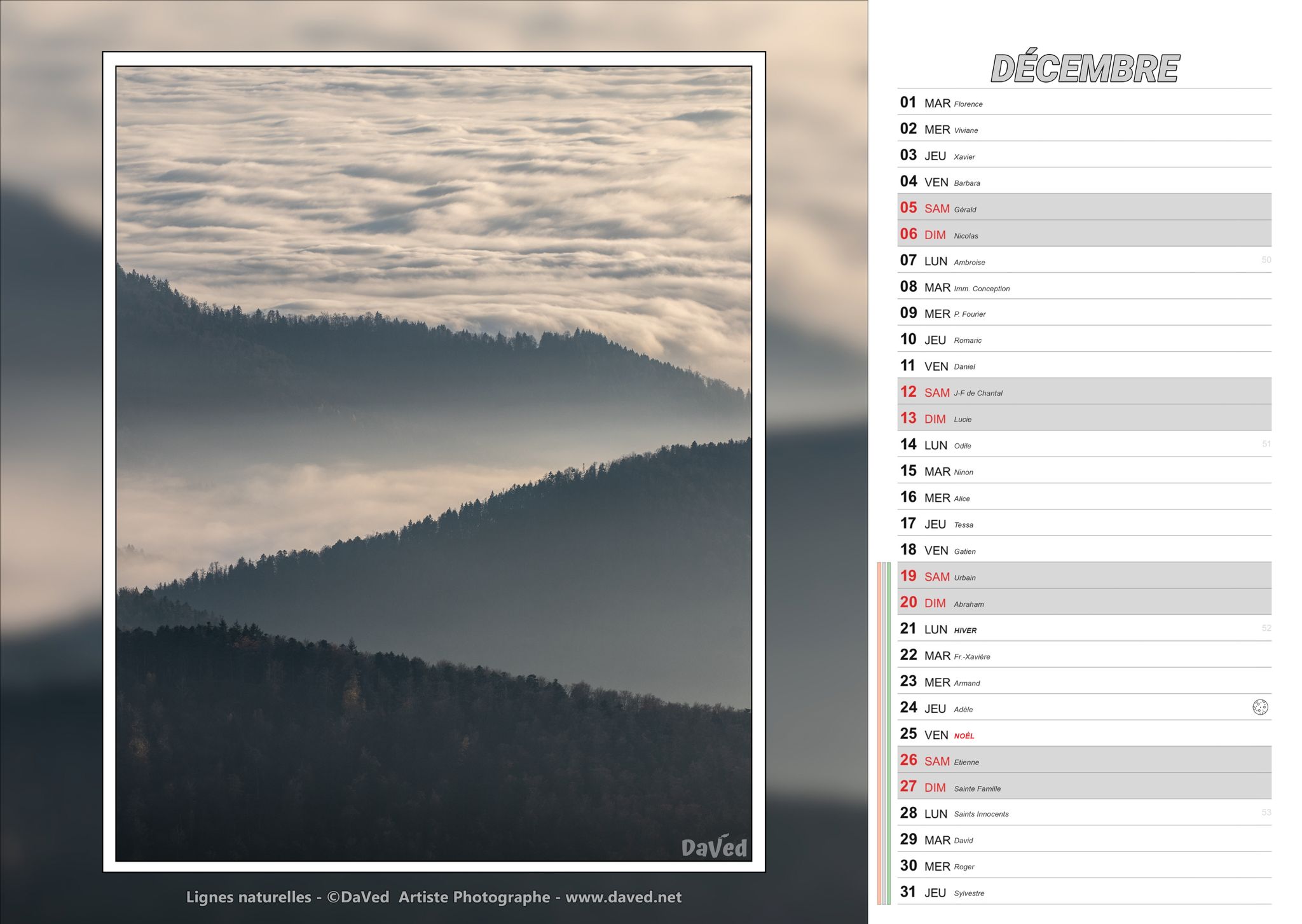 calendrier-daved-novembre